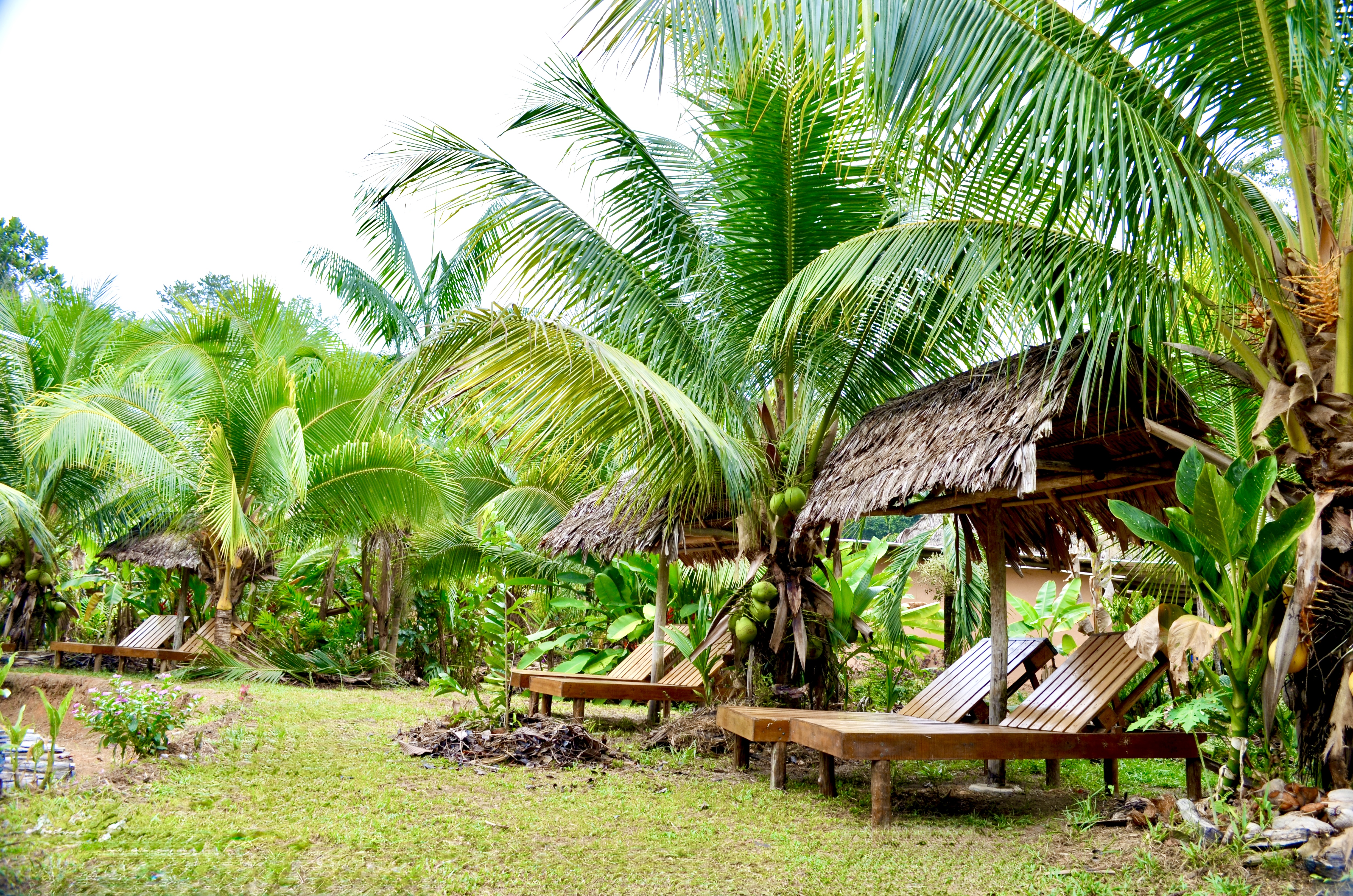 préparation avant retraite ayahuasca en Amazonie