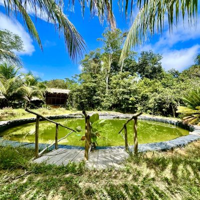 95fd0f81-285e-44f0-894d-b684f6ff9ee2