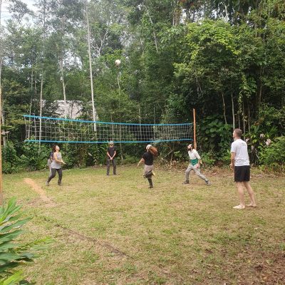 Activité volley ball