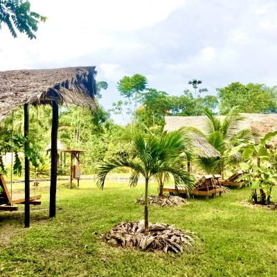 cefe6151-cce1-41a5-8647-24ceed32747d