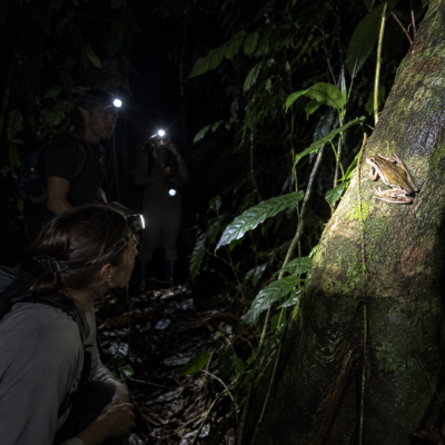 exploration nocturne